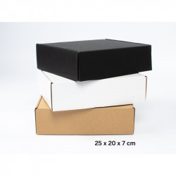 CAJA AUTOARMABLE 25X20X7 CM