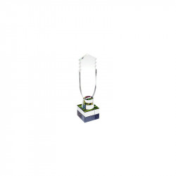 TROFEO CRISTAL WIN