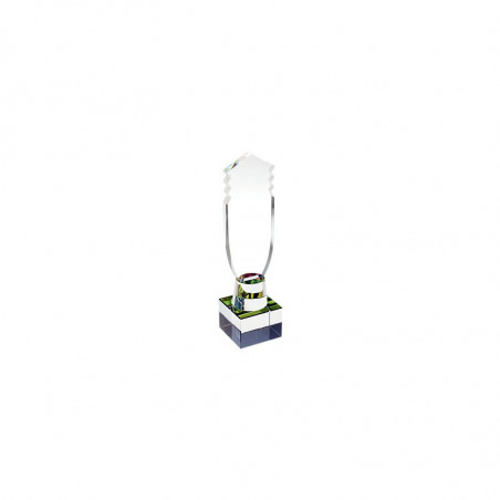 TROFEO CRISTAL WIN