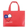 Bolsa TNT Vamos Chile