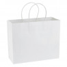 BE103  Bolsa de Papel 120g/m2 30 X 25 X 10 cm