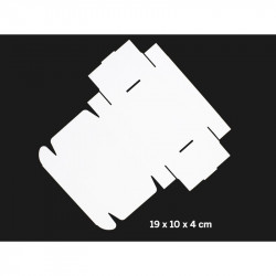 CAJA EMPAQUE 19X10X4 cm CON LOGO