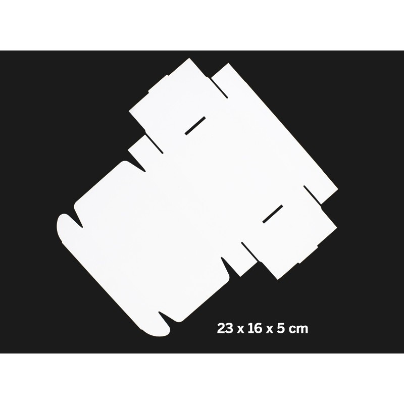 CAJA AUTOARMABLE 23X16X5 CM CAJA AUTOARMABLE 23X16X5 CM