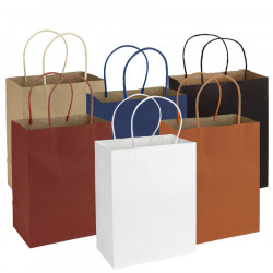 EXE102: 20 X 26 X 12 CM Bolsa de Papel 120g/m2 con logo