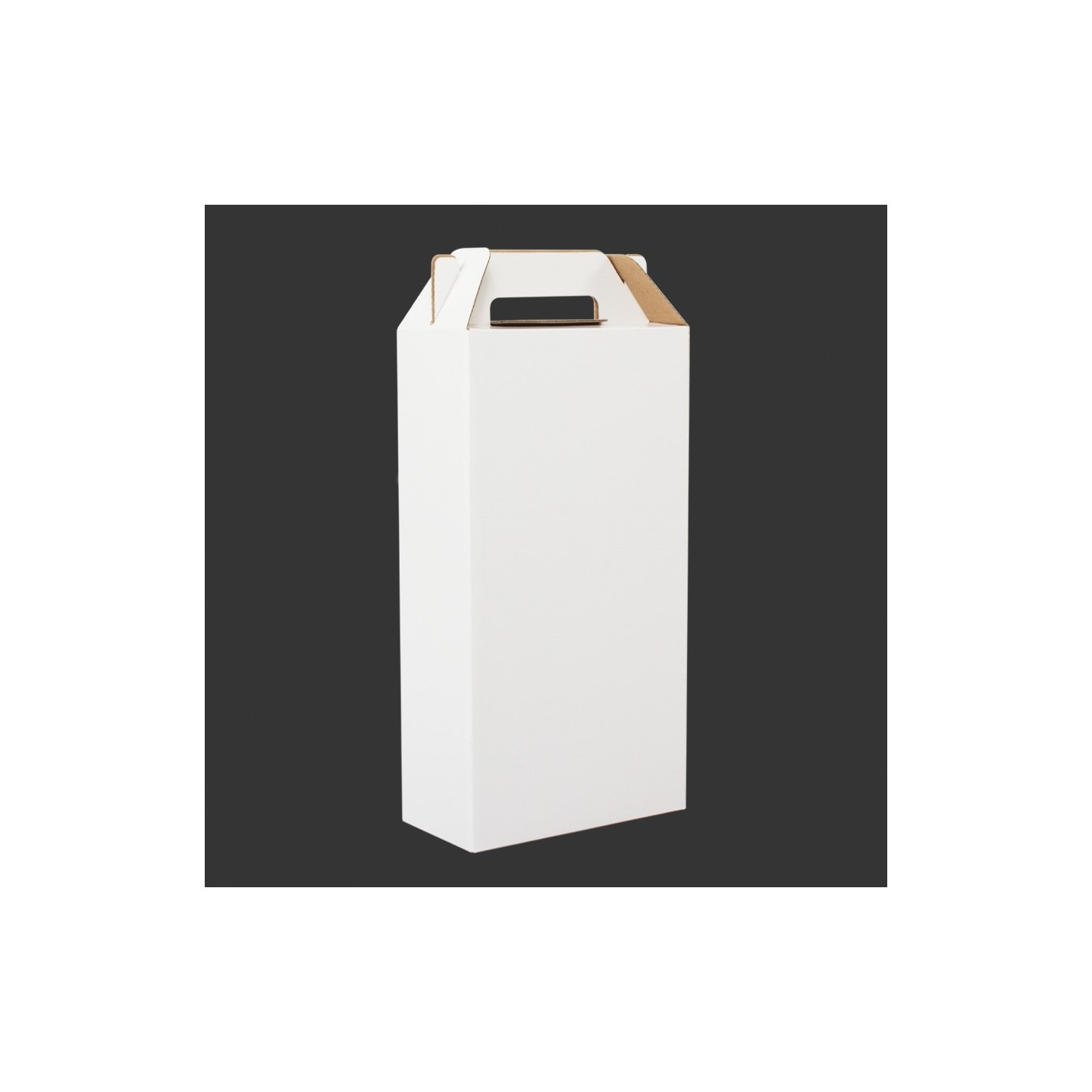 BF27  18x34x9 cm Caja autoarmable con asas, para 2 botellas de Vino